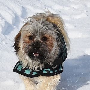 Meet your Posher, Vicky